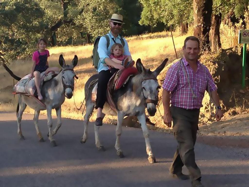 בית הארחה Molino Rio Alájar מראה חיצוני תמונה
